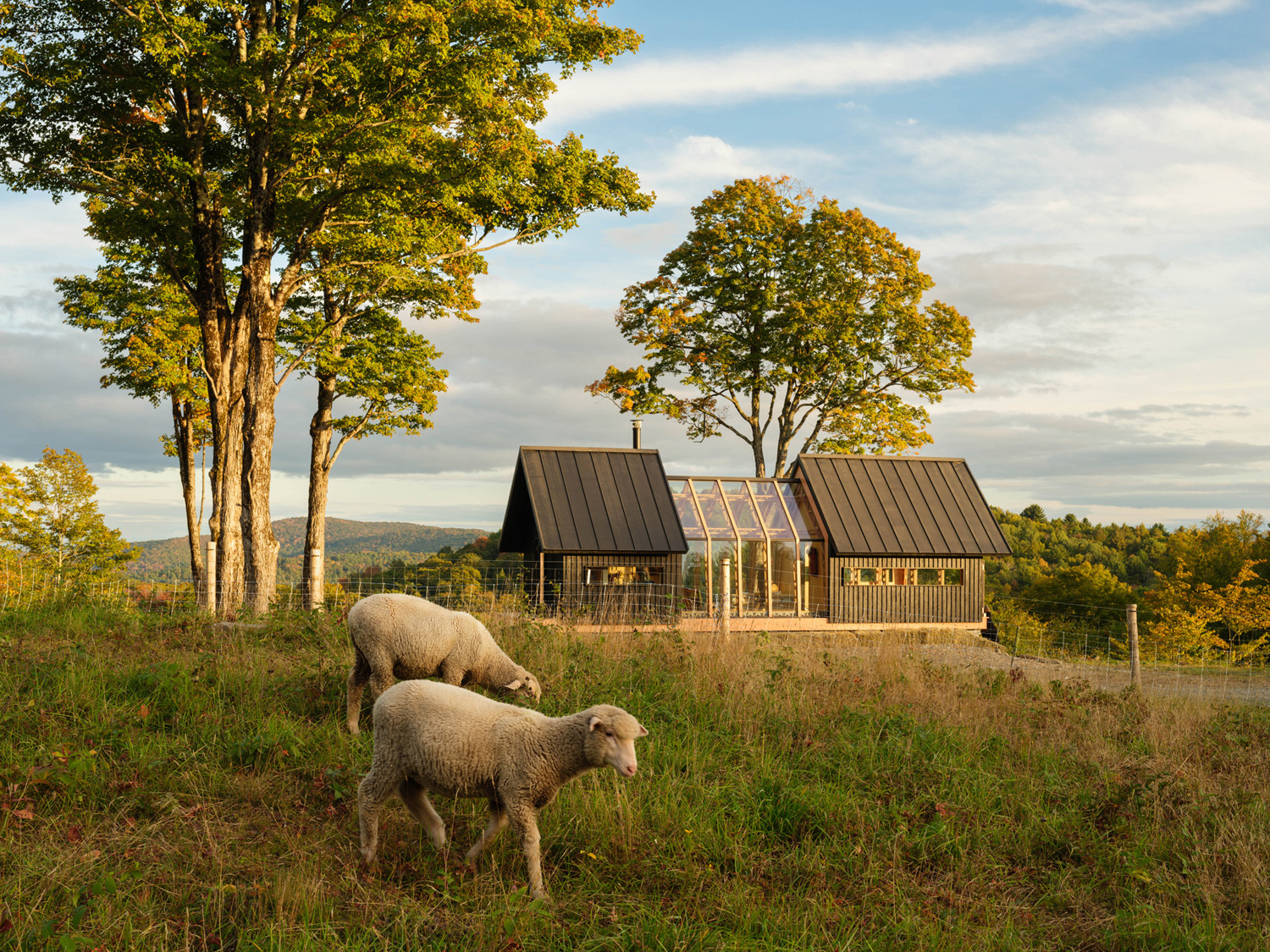 Cabin ANNA — Oregon Pine structure in landscape
